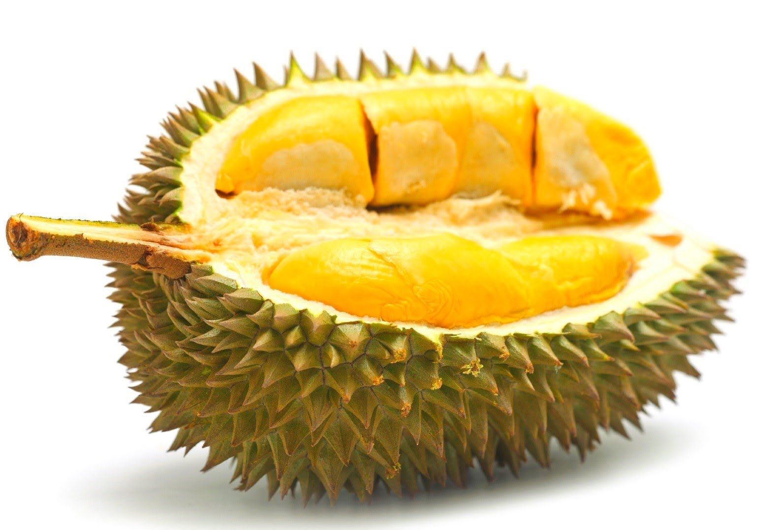 Durian Merah